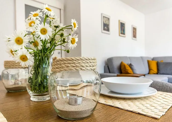 Sunny In Center Of سوبوت